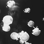 Mario Wilhelm - @76mario1 - Instagram