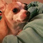 Mario - Wright -Beyea - @mario_wright_beyea - Instagram