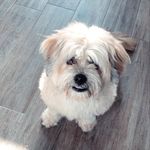 Mario Wright - @mariowright2020 - Instagram