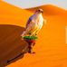 Asad Mari - Facebook