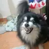 Mario Zárate - @mario.zrate71 - TikTok