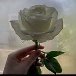 Mario Zelada - @mario4y3 - Instagram
