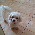 Mariola Janik - Facebook