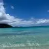 Marion Tammy Alston - @marion.tammy.alst - TikTok