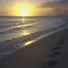 Mary Atchison - @mary.atchison - TikTok