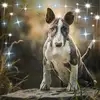 Marion Auerbach - @marionauerbach - TikTok