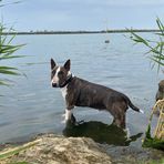 Marion Auerbach - Facebook