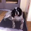 Marion Baheux - @marionbaheux - TikTok