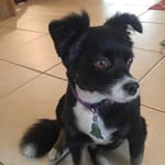 Marion Barnum - @marionbarnum - Instagram