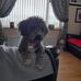 Marion Barr - Facebook