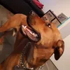 marionbarreteau1 - @marionbarreteau1 - TikTok