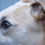 Marion Barth - @marion.barth.54 - Instagram