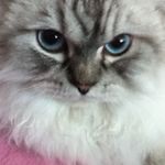 Marion Barth - @marion.barth.526 - Instagram