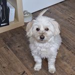 Marion Barth - @maringo2510 - Instagram