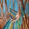 Marion C. Bateman - @marion.c..bateman - TikTok