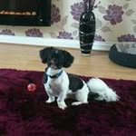 Marion Bates - @marionbates60 - Instagram