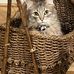 Marion Battle - Facebook