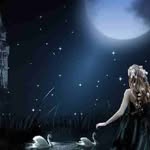 Marion Beaver - @marionbeaver6 - Instagram