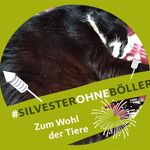 Marion Bechtel - @marion.bechtel.9 - Instagram