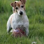 Marion Bender - @marion.bender.52 - Instagram
