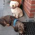 Marion Bender - Facebook