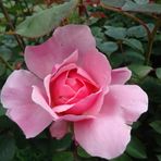 Marion Berning - Facebook