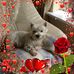Marion Best - Facebook