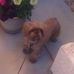 Marion Billups - Facebook