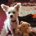 Marion Blake - Facebook