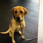 Marion Blakely - @blakely9736 - Instagram