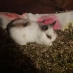 Marion Blanco  14 - @albers1568 - Instagram