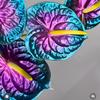 Roots In Bloom - @rootsinbloom.marion - TikTok