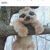 Marion Blye - Facebook