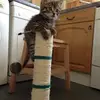 Marion Bond - @marion.bond6 - TikTok