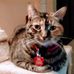 Marion Bond - Facebook