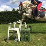 Marion Bouchard - @_vente_affaire_equitation_ - Instagram