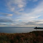 Marion Boyle - @marion.boyle.35 - Instagram