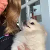 Marie Boynton - @marieboynton723 - TikTok