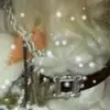 Marion Hellebrand honey - @marion.hellebrand - TikTok