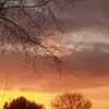 Mary- Braswell - @mary_braswel - TikTok