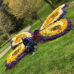 Marion Braun - @marionbraun64 - Instagram