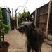 Marion Bray - Facebook