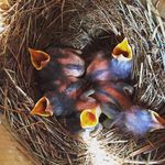 Marion Brecht - @brechtmarion - Instagram