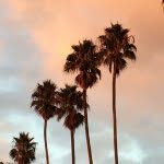 Marion Brenner - @marionbrenner - Instagram