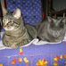 Marion Bricker - Facebook