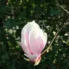 Marion Brink808 - @mabri1270 - TikTok
