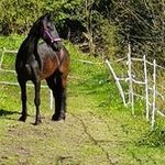 marion bürger - @marion.burger - Instagram