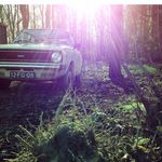 Marion Burger - @burgerinbeeld - Instagram