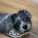 Marion Byars - @marion.byars.9 - Instagram