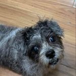 Marion Byars - @byars.marion - Instagram